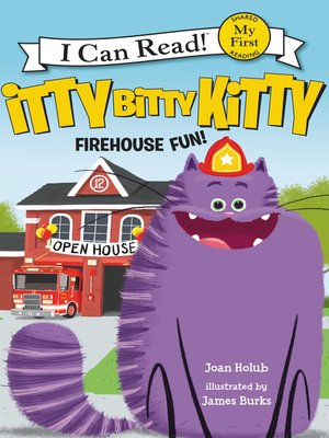 cover image of Itty Bitty Kitty